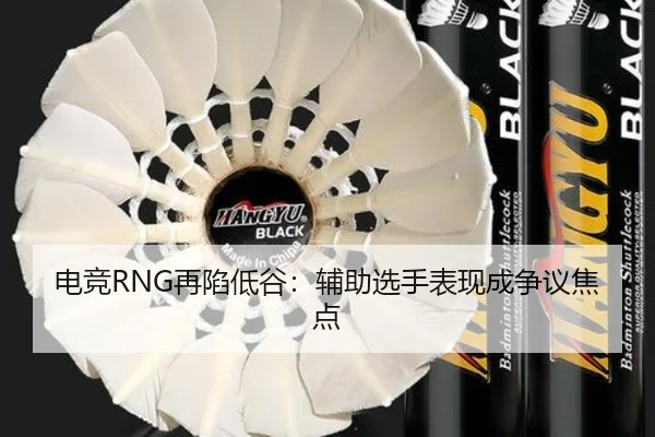 电竞RNG再陷低谷：辅助选手表现成争议焦点